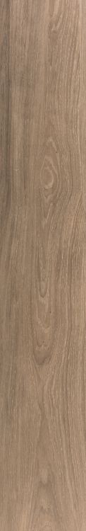 Faedo Taupe 10 x 60